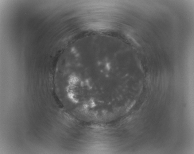 X0000068290917200605121934