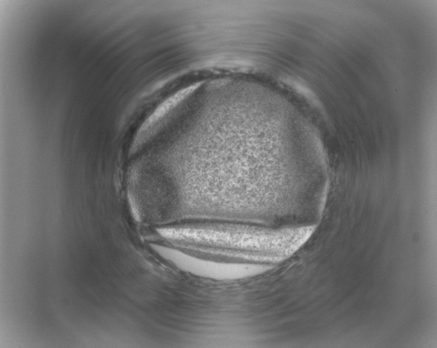 X0000068290920200605121934