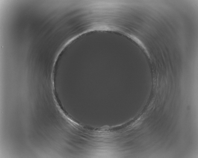 X0000068290935200605121934