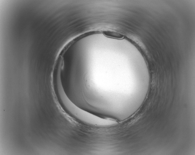 X0000068290936200605121934