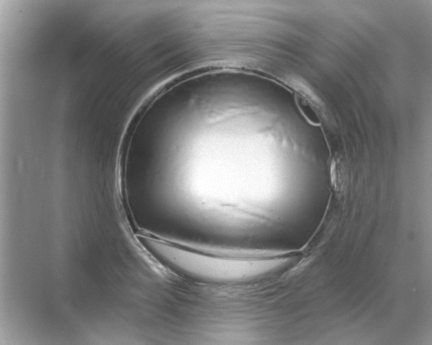 X0000068290940200605121934