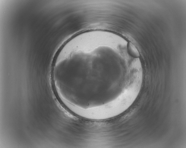 X0000068290941200605121934