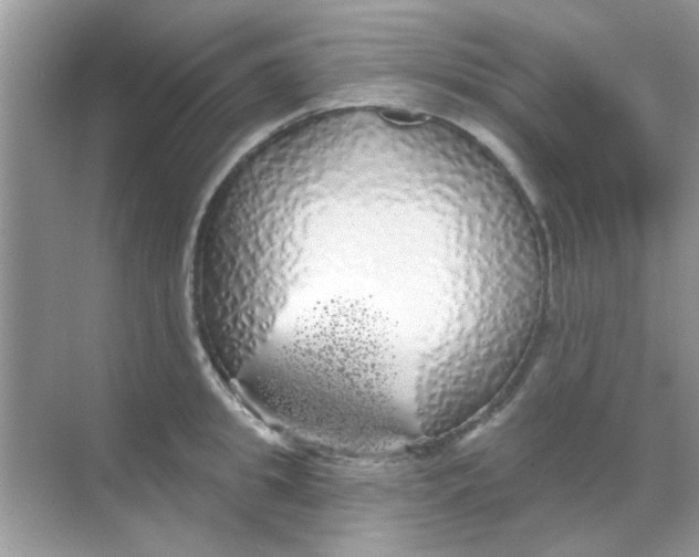 X0000068290949200605121934