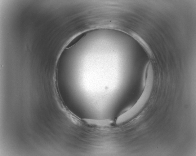 X0000068290956200605121934