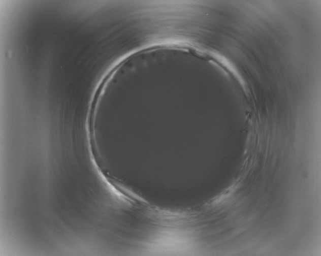 X0000068290959200605121935