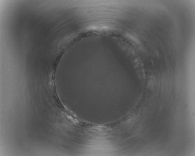 X0000068290966200605121934
