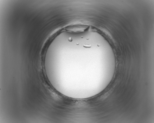 X0000068290974200605121934