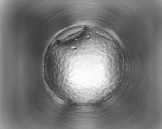 X0000068290980200605121933