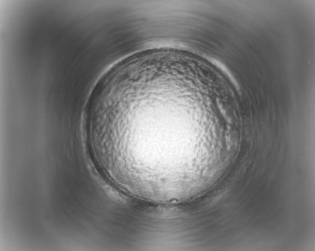 X0000068290983200605121933