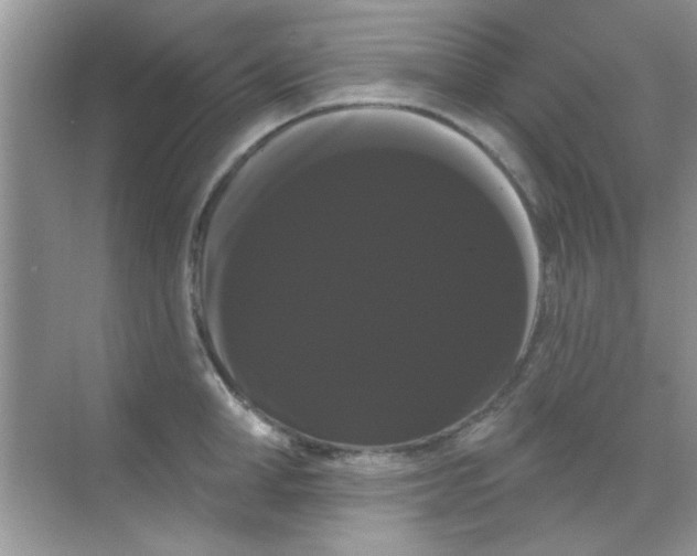 X0000068290998200605121933