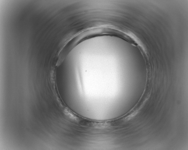 X0000068291001200605121933