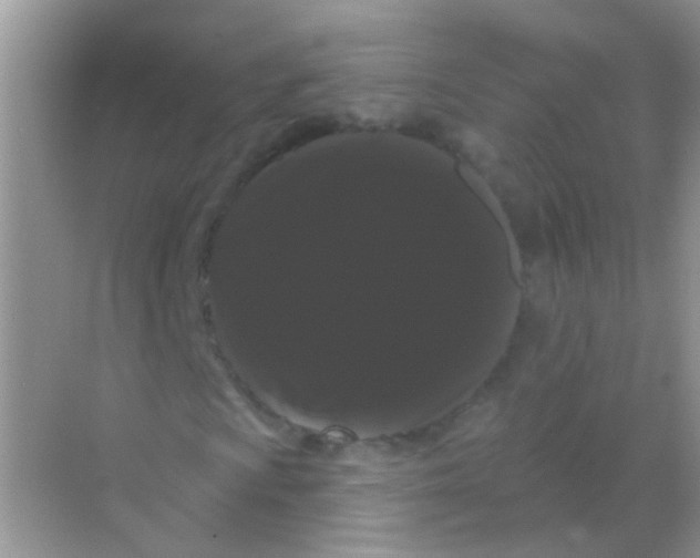 X0000068291009200605121932