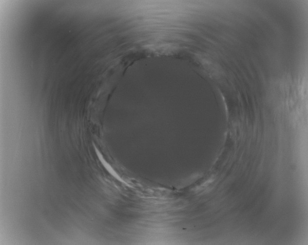 X0000068291010200605121932