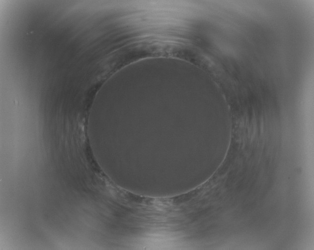 X0000068291013200605121932
