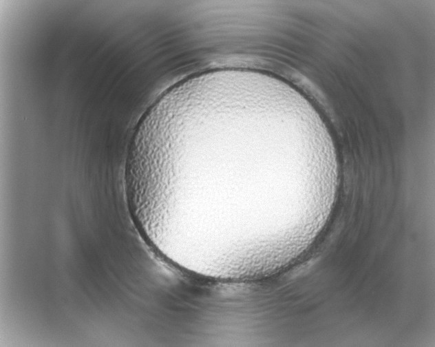 X0000068291041200605121933