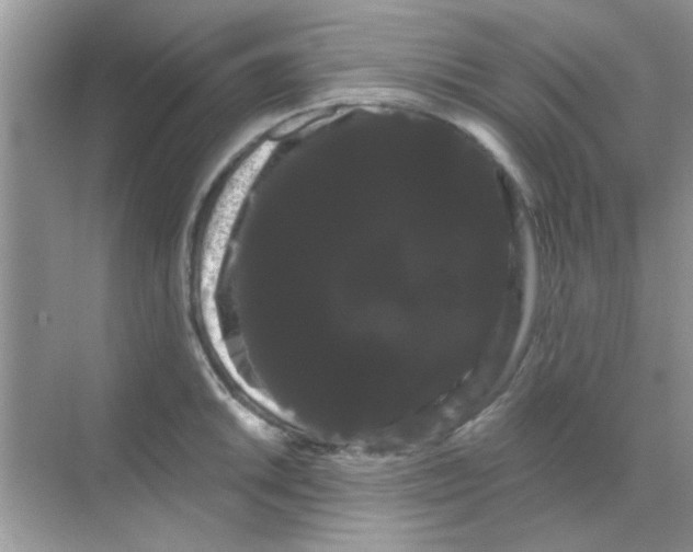 X0000068291046200605121933