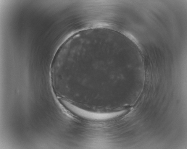 X0000068291047200605121933