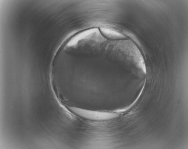 X0000068291048200605121933