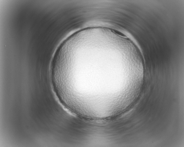 X0000068291053200605121933