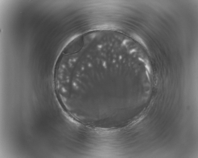 X0000068291087200605121932