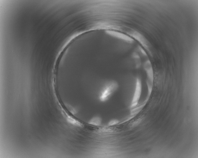 X0000068291094200605121931