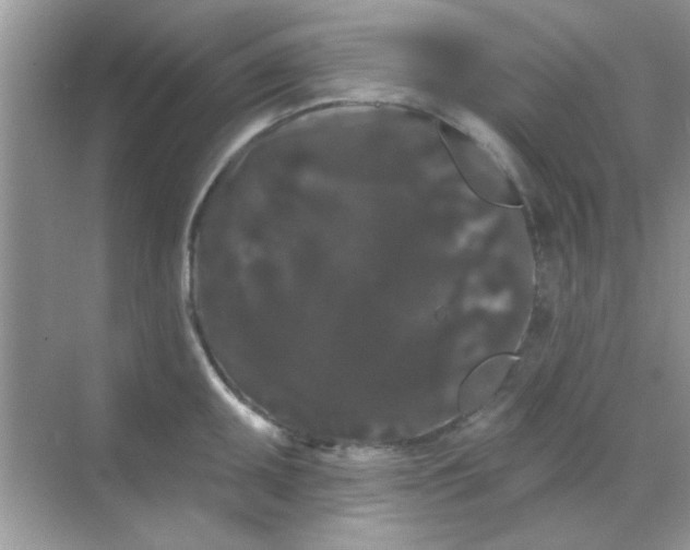 X0000068291095200605121931