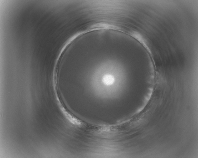 X0000068291098200605121931