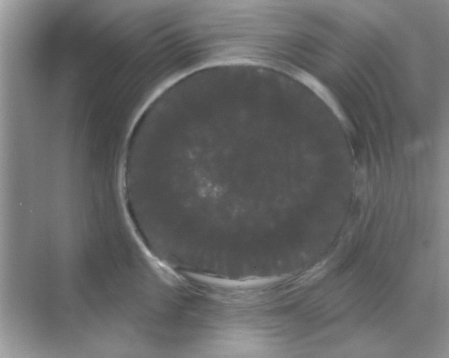 X0000068291101200605121931