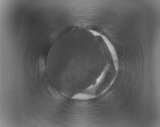 X0000068291106200605121931