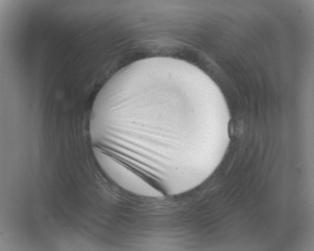 X0000068291108200605121931