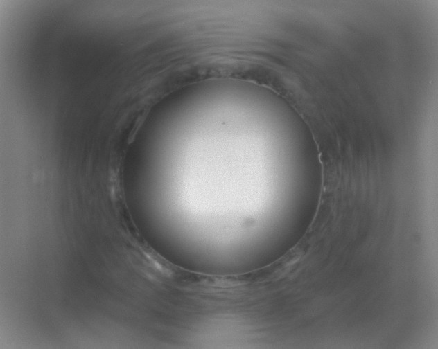 X0000068291109200605121931