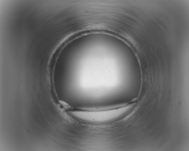 X0000068291118200605121931