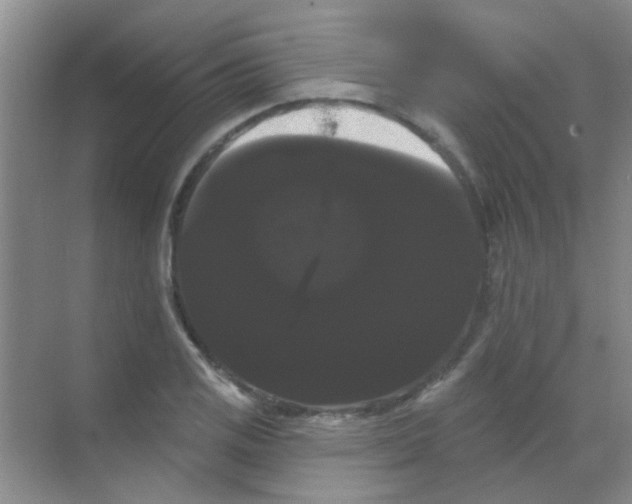 X0000068291125200605121931