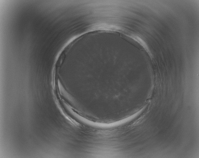 X0000068291128200605121931