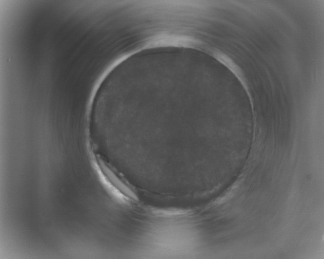 X0000068291152200605121931
