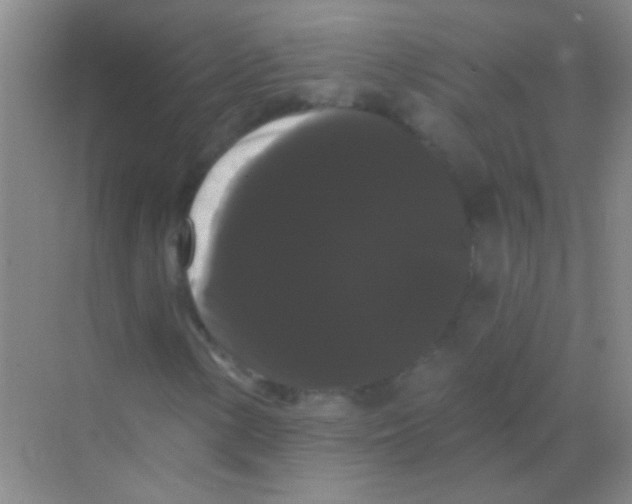 X0000068291154200605121930
