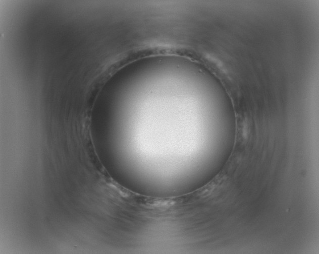 X0000068291157200605121930