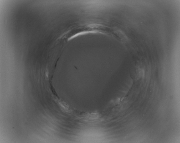 X0000068291158200605121930