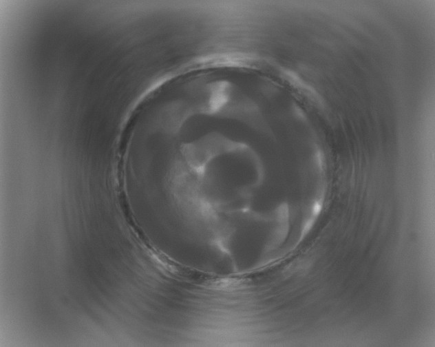 X0000068291166200605121930