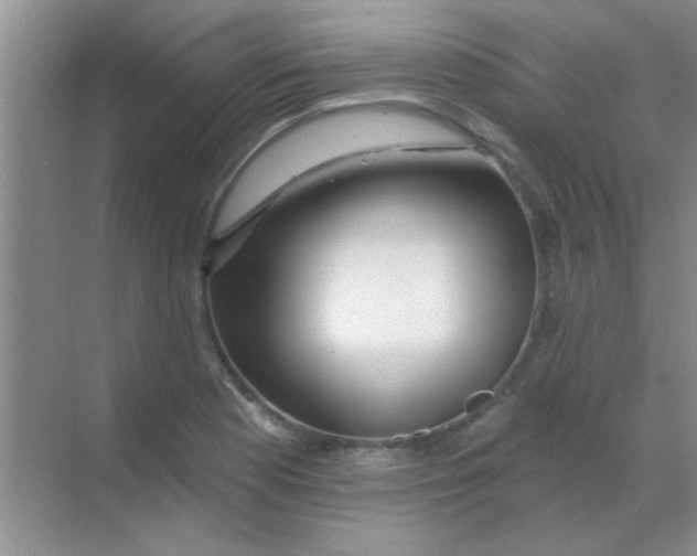 X0000068291177200605121930
