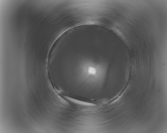 X0000068291178200605121930