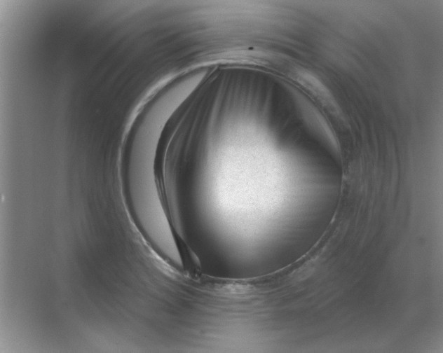 X0000068291180200605121930