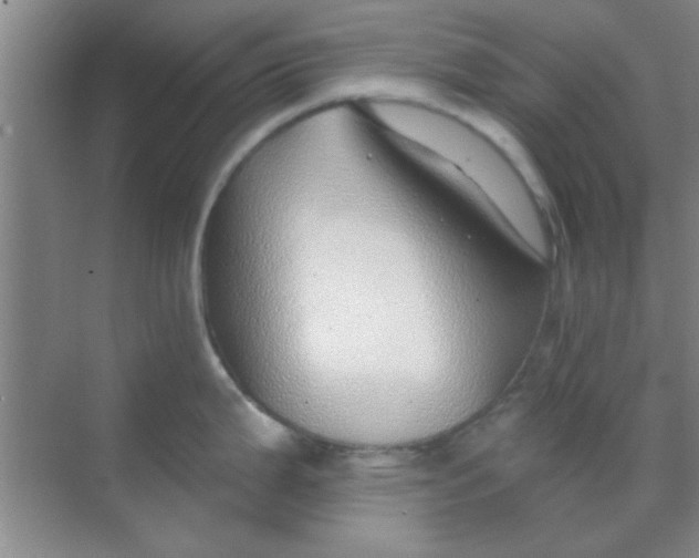 X0000068291199200605121930