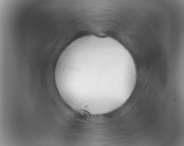 X0000068291201200605121929