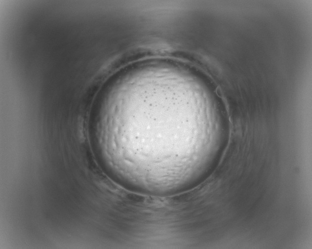 X0000068291205200605121929