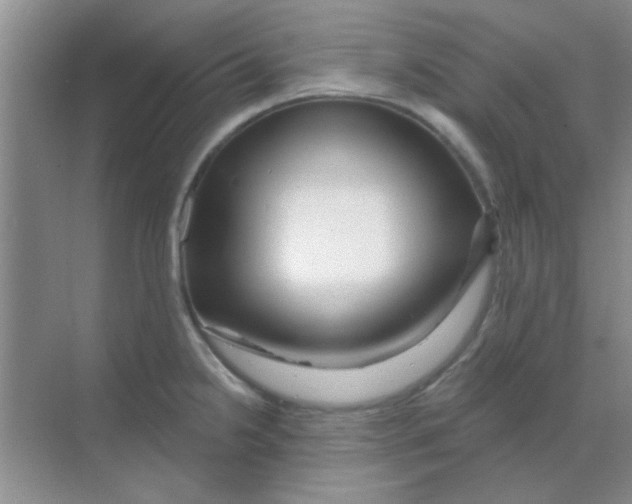 X0000068291238200605121930