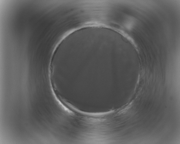 X0000068291239200605121930