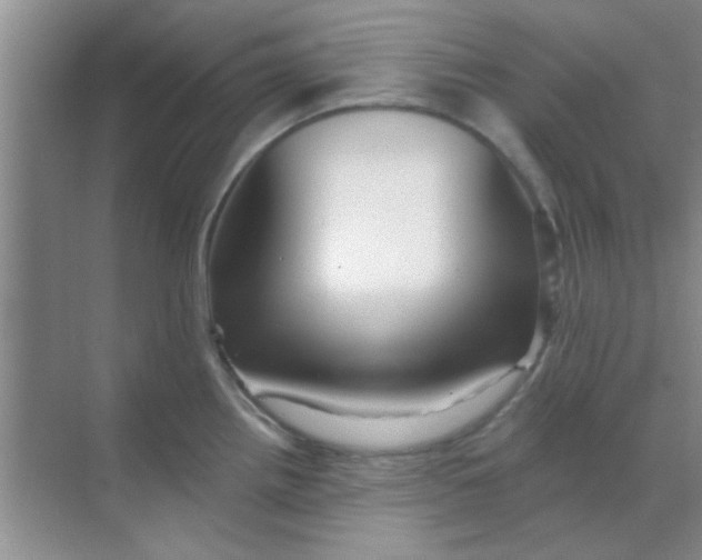 X0000068291242200605121930