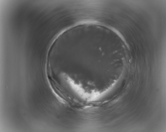 X0000068291245200605121930