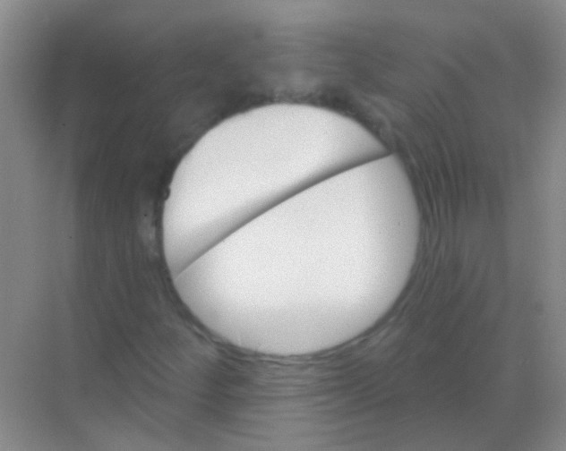 X0000068291252200605121929